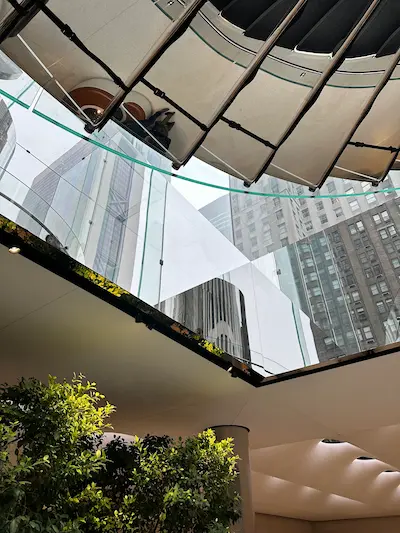 Vue vers le haut d'un escalier en colimaçon en verre avec des gratte-ciel en arrière-plan et des plantes en dessous.
